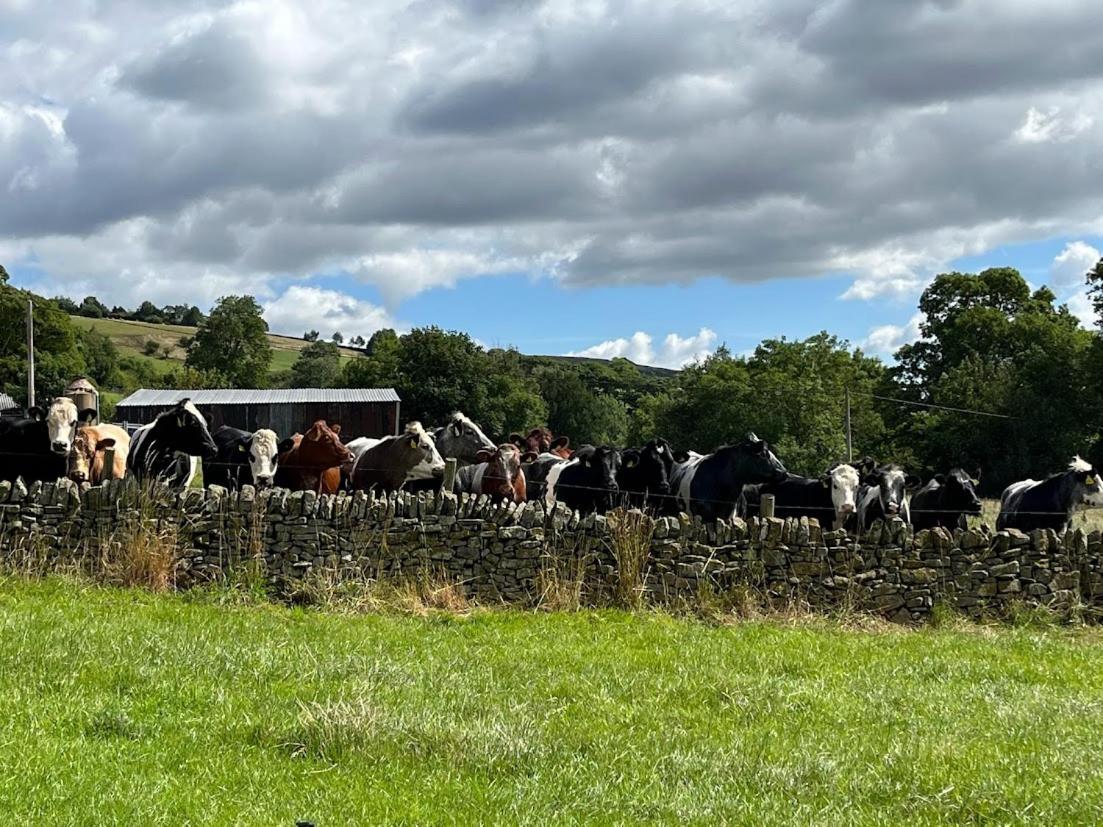 Riding House Farm Cottages Castleton  Eksteriør bilde